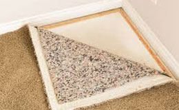 Carpet mould removal Bellerive