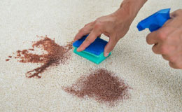carpet stain removal Ferny Grove