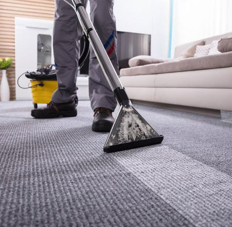 professional carpet cleaning services Higher Macdonald