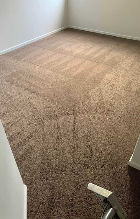  Carpet Cleaning Process