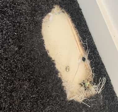 Expert Carpet Repair Cape Jervis